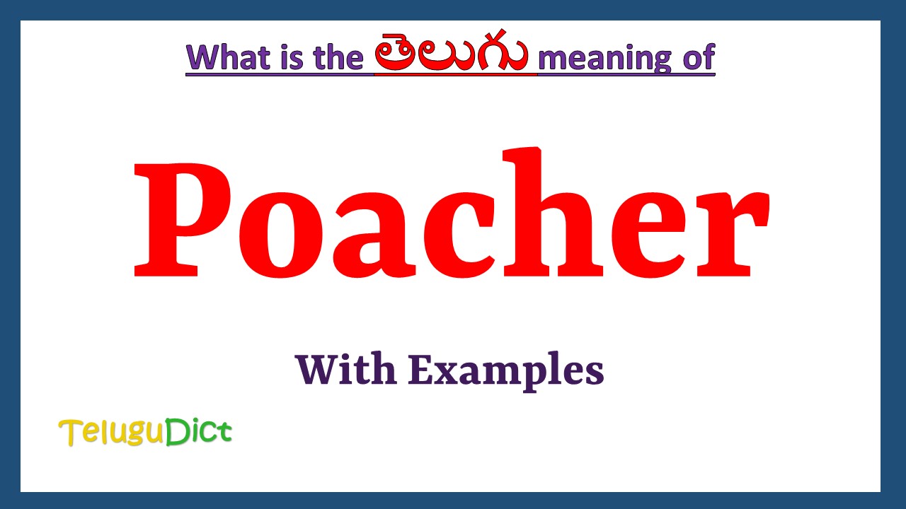 Poacher
