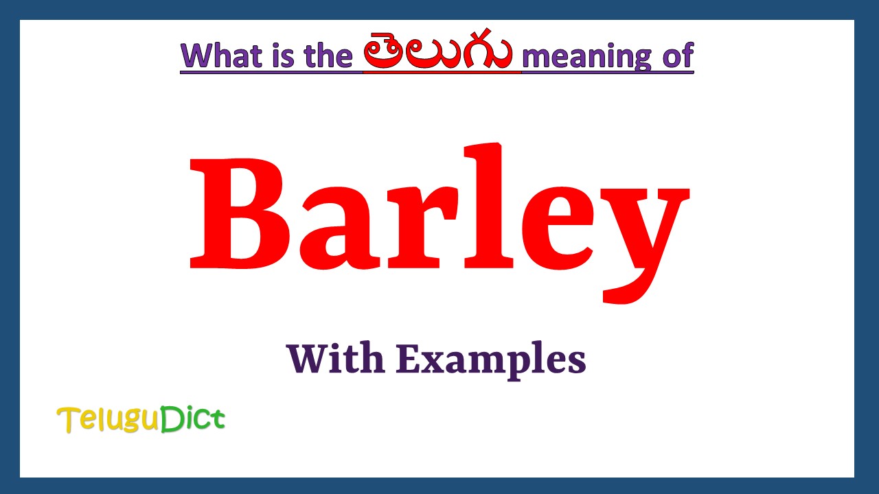 Barley