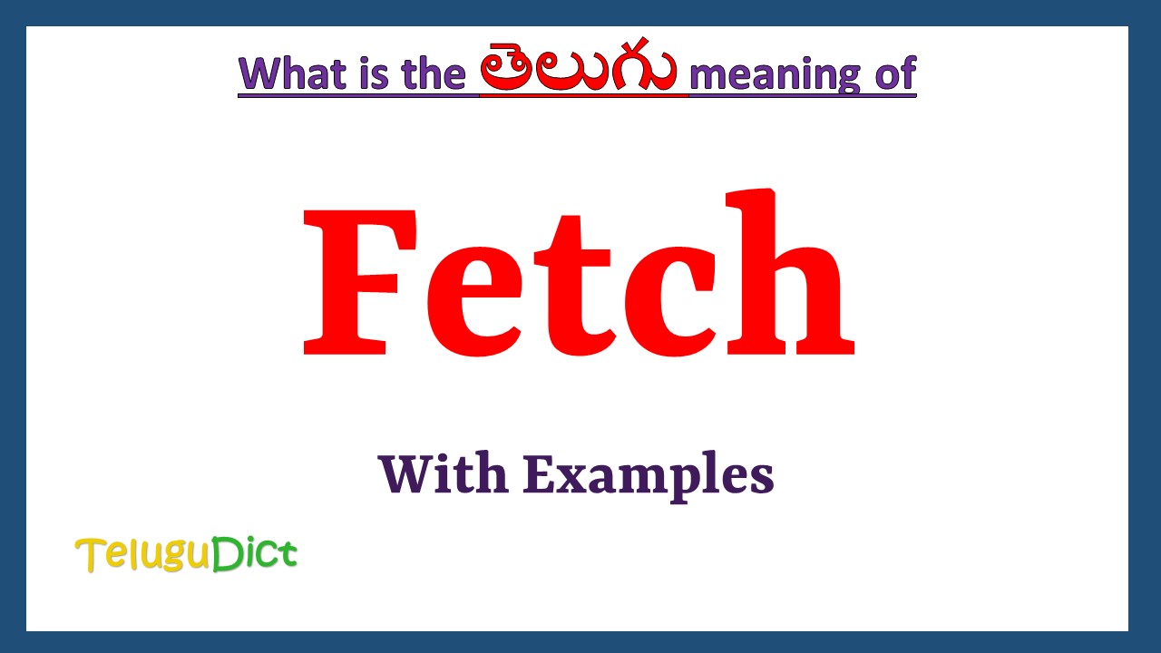 Fetch