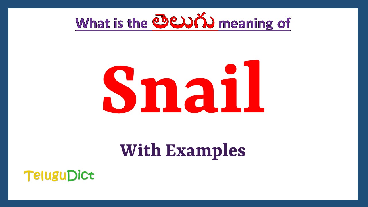 Snail