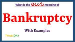 Bankruptcy